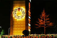 Holiday Decorating Commercial Interior