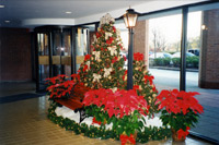 Holiday Decorating Commercial Interior