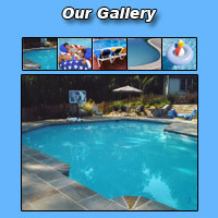 Our Gallery